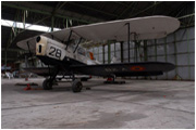 Stampe Vertongen SV-4b / V-28